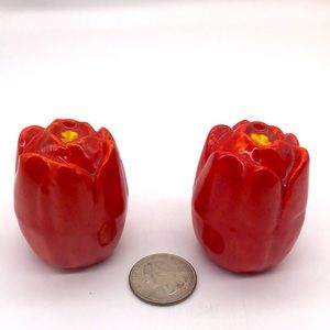 Ceramic Vintage Red Tulip Salt & Pepper Shaker’s
